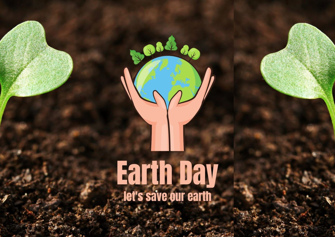 ReCup’s Journey: From Forgotten Grounds to Restorative Living