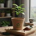 Recup Biodegradable Plant Pot from Coffee Grounds